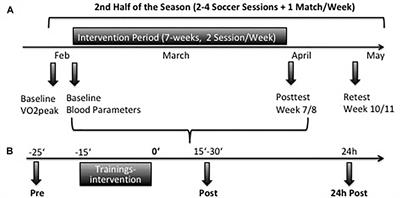 Influence of Whole-Body Electrostimulation on the Deformability of Density-Separated Red Blood Cells in Soccer Players